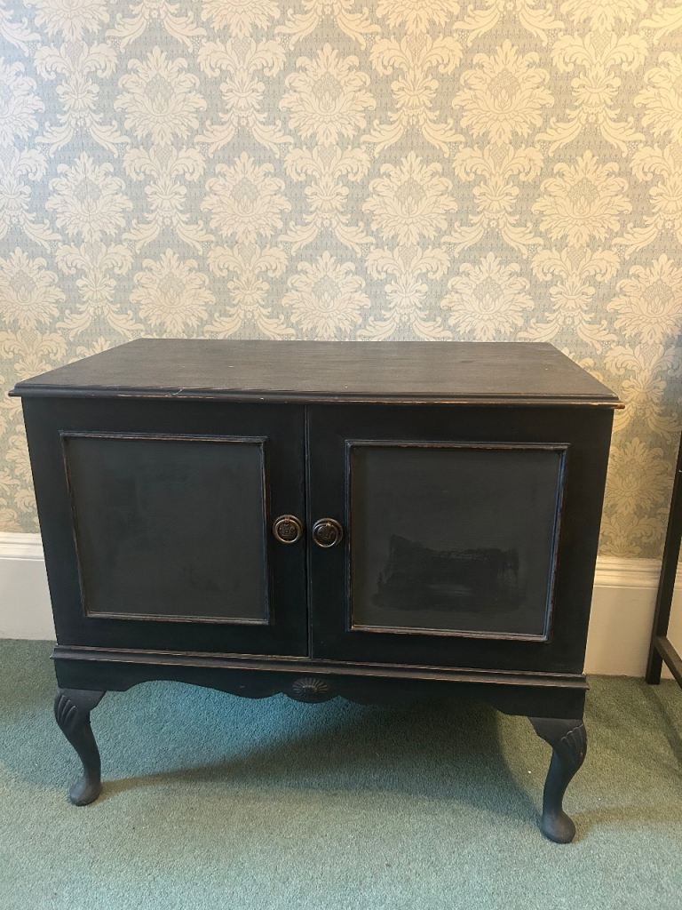 Cabinet with Vinyl Storage