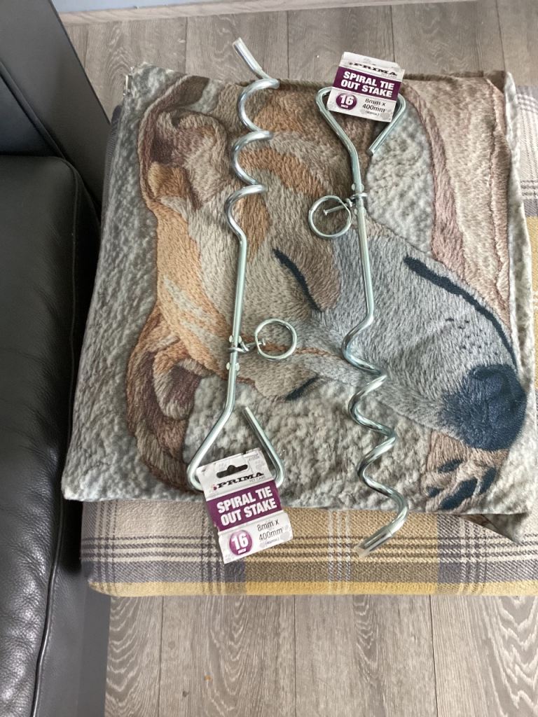Spiral tie out stake