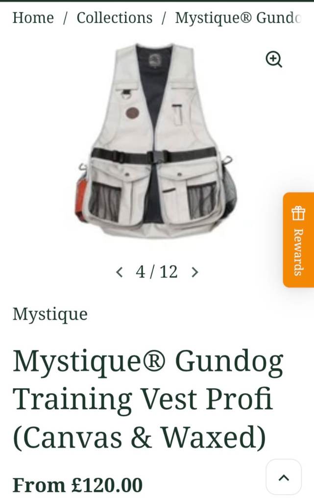 Dog training vest
