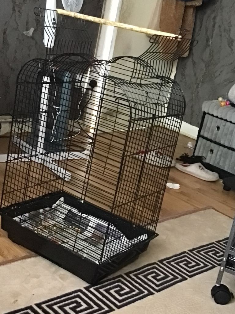 Bird cage