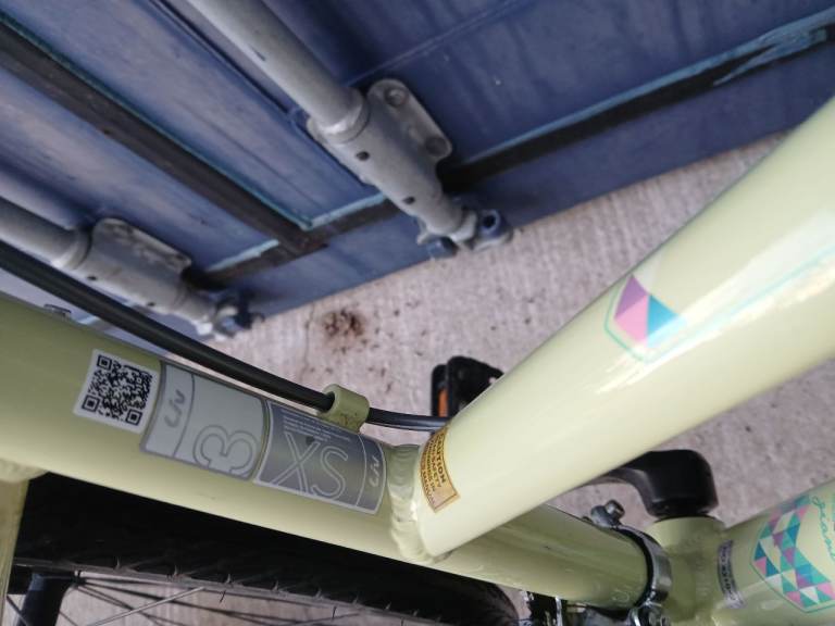 Giant Liv Alight 3 Womens Girls Hybrid Bike - X Small