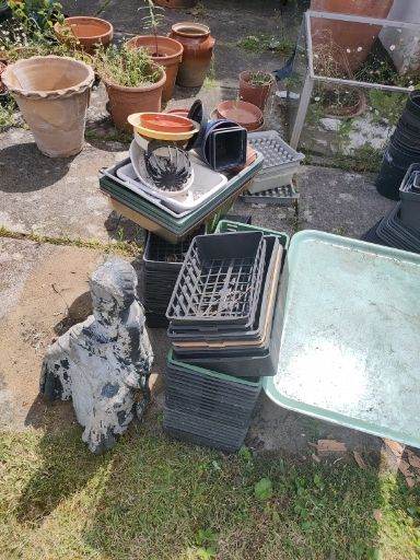 FREE Plastic garden pots and seed trays