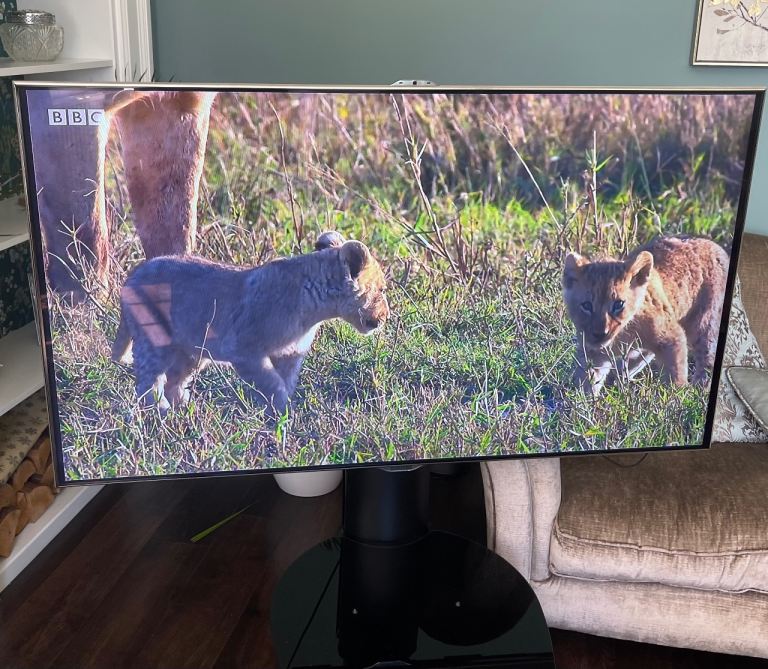 Samsung TV on Freestanding Stand