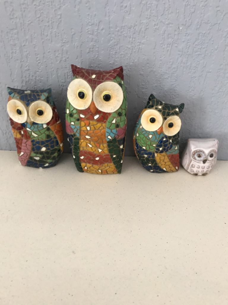 4 owls