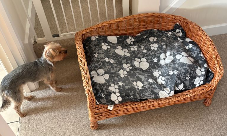 Large Rattan Wicker Dog Bed
