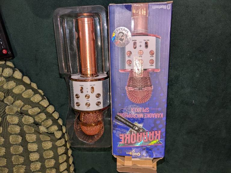 Karaoke mic speaker