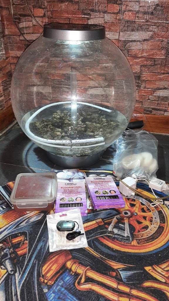 60 litre biorb aquarium  with lots of accessories 
