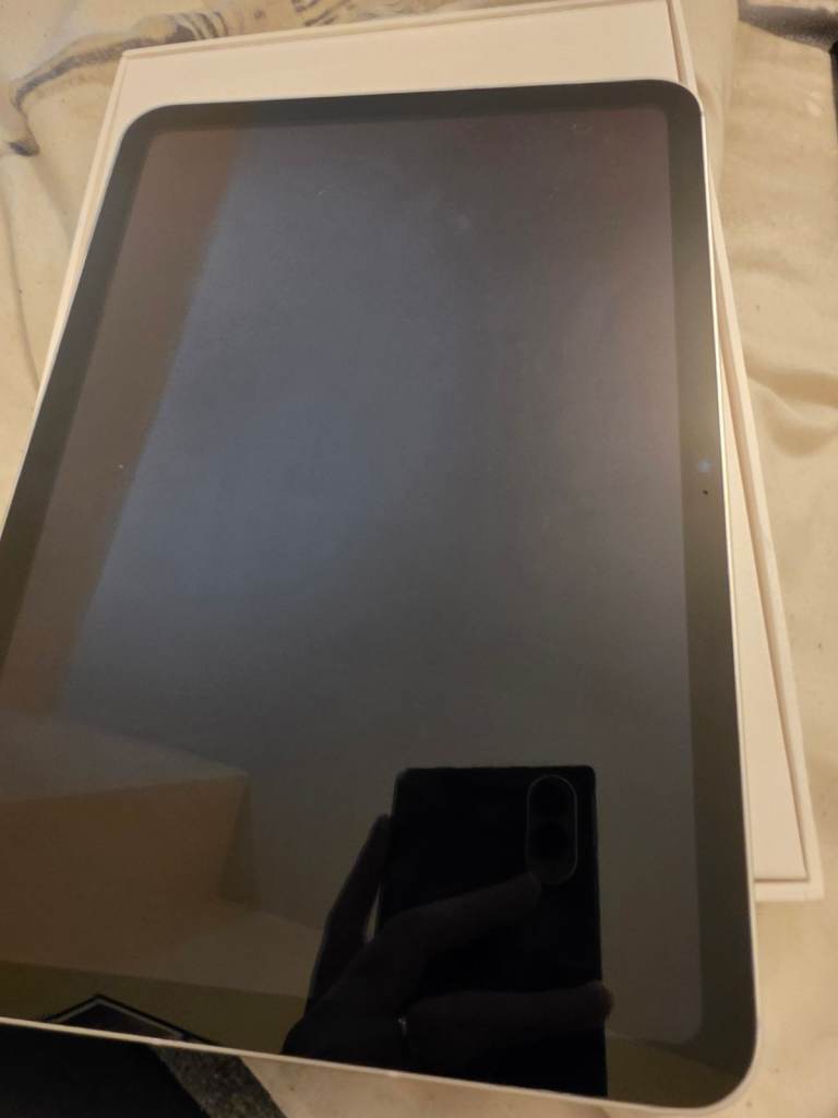 Apple ipad 10th generation celurar model, mint condition with 2 cases