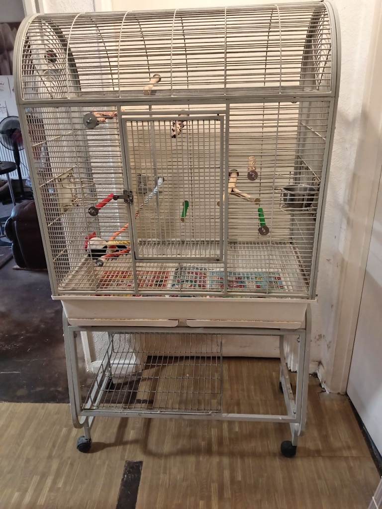 Parrot/bird cage 