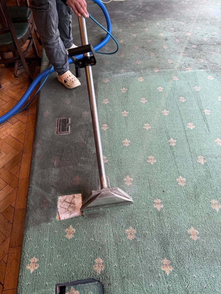 Professional Carpet Cleaning | From £25 | Same Day Service