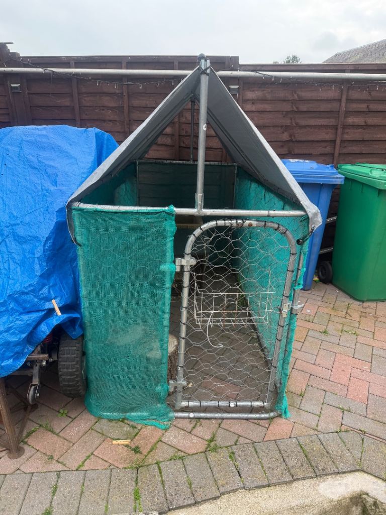 Rabbit run