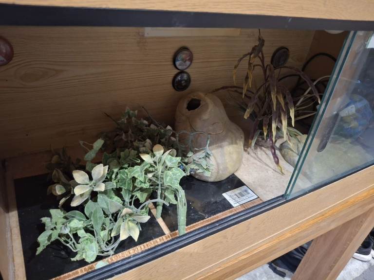 Vivarium 
