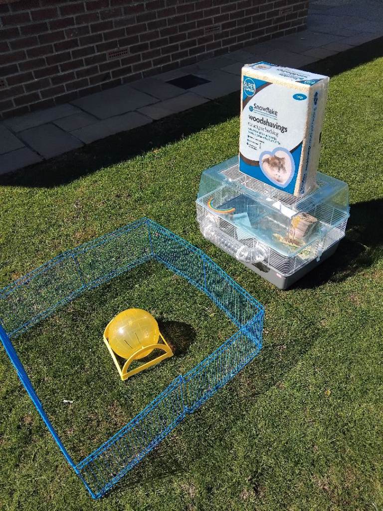 Small rodent cage