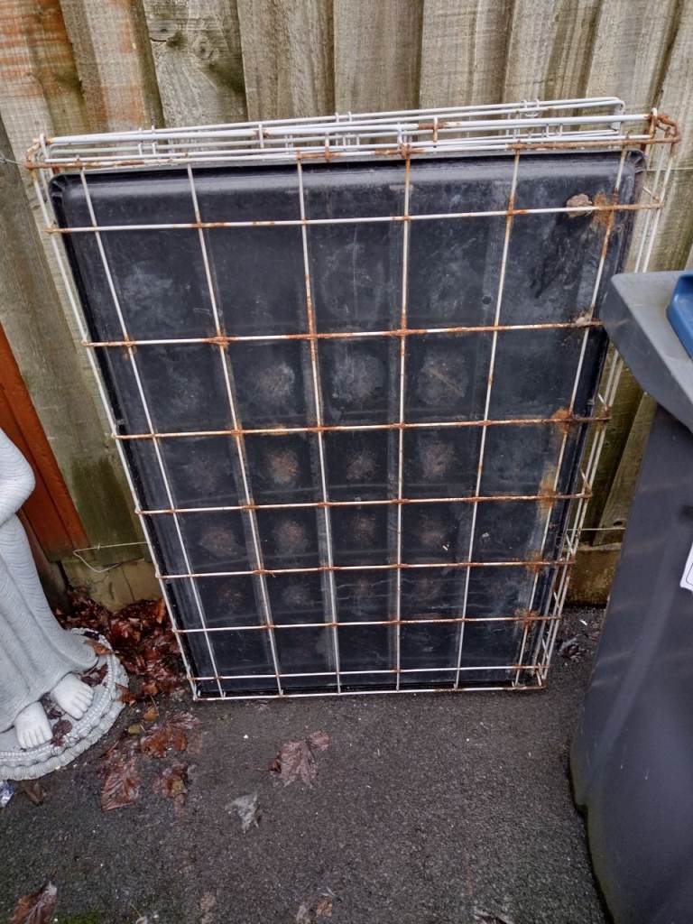 Free XL dog cage 