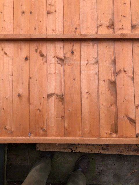 Shed Garden. Apex Roof.  Wooden Shiplap and board. 6' x 6'