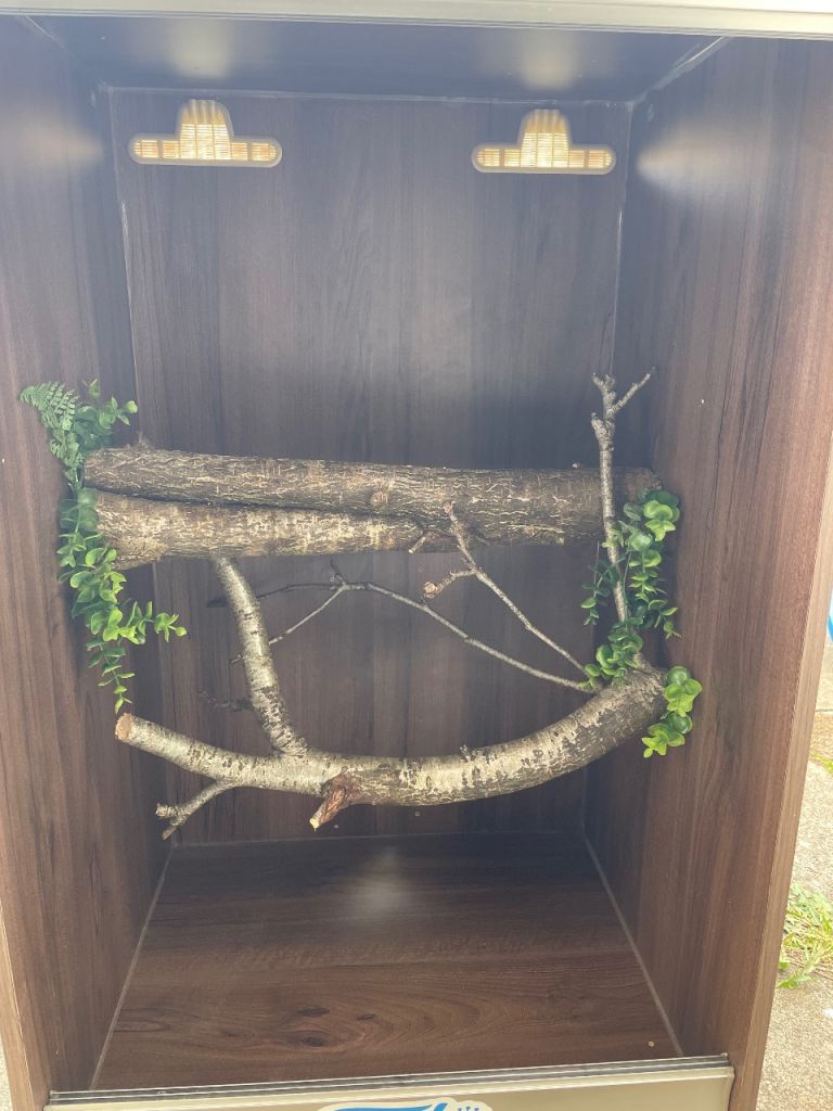 Viv exotic vivarium 3x2x2