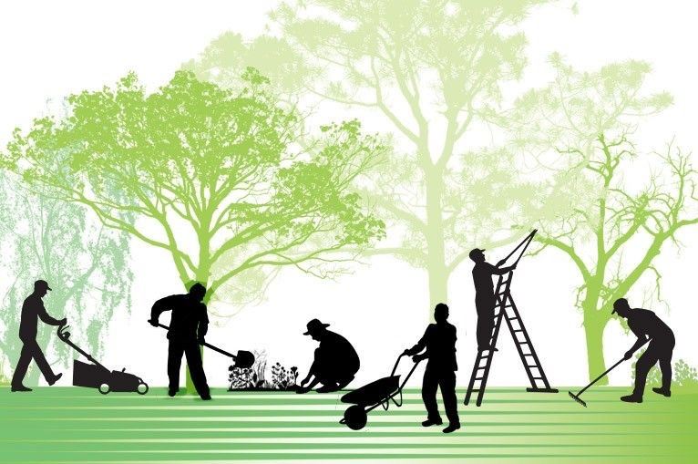 Complete Garden Maintenance Services