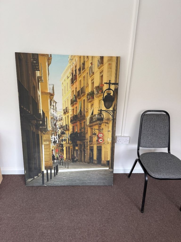 2 huge scenery prints on canvas £6