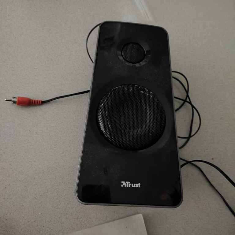 Trust satellite speaker