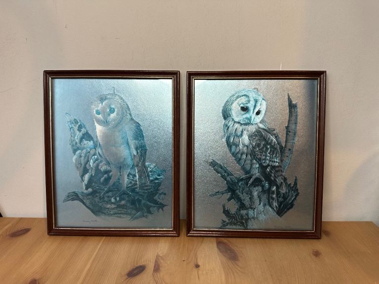 Pair of Audrey North Silver Dufex Foil Owl Prints