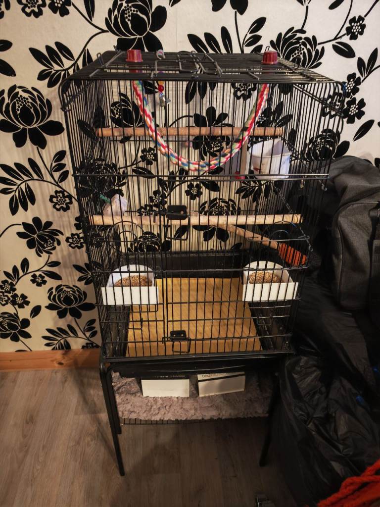 Fairly large bird cage.
