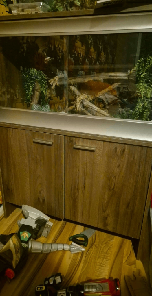 3ft vivarium 