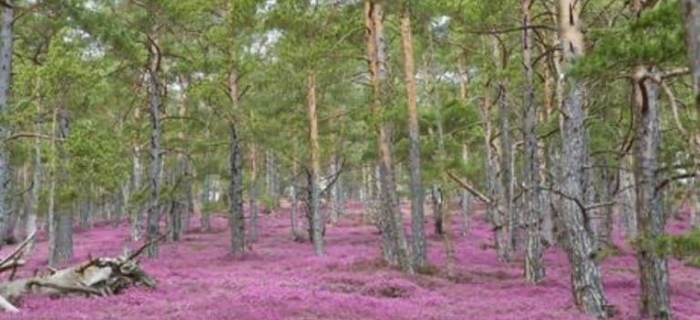 Calm 1:1 Conversation for Men Who Hold a Lot Inside 