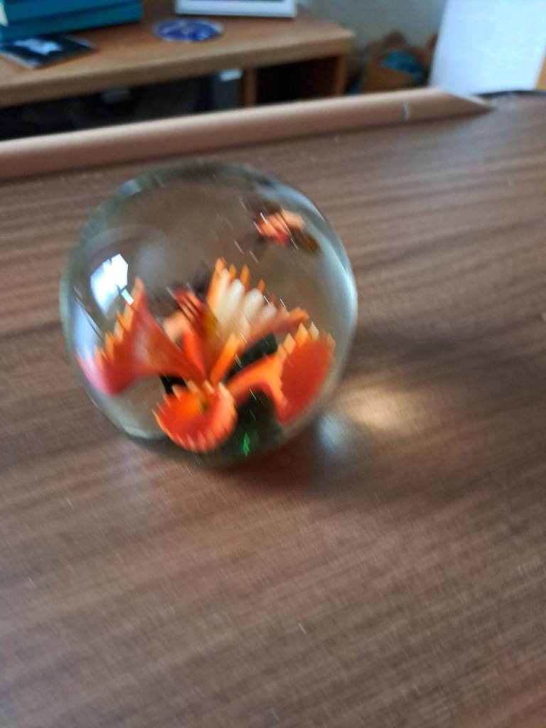 Paper weights