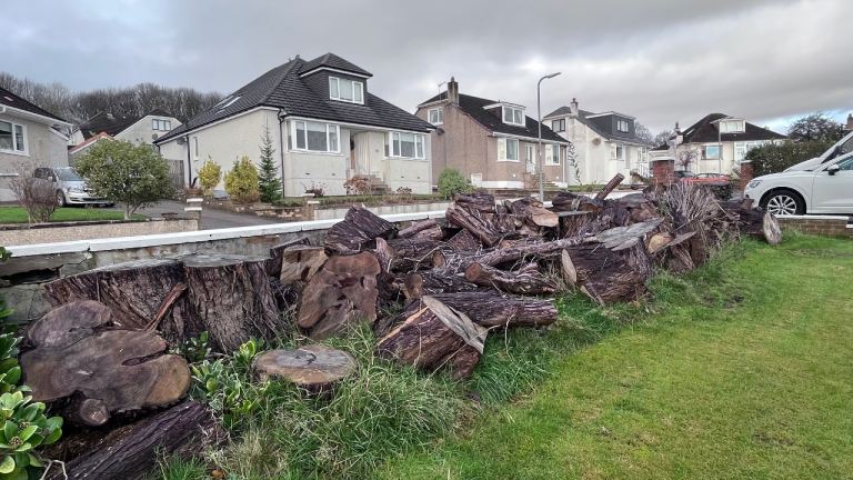 Fire logs free to pick up