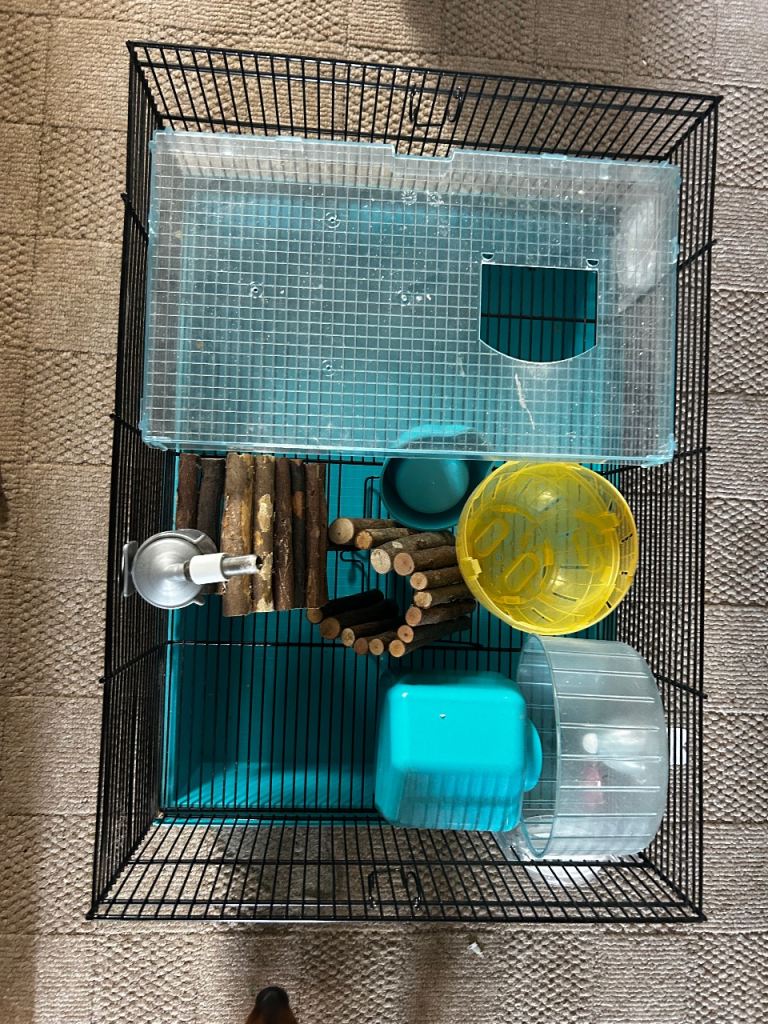 Hamster cage 