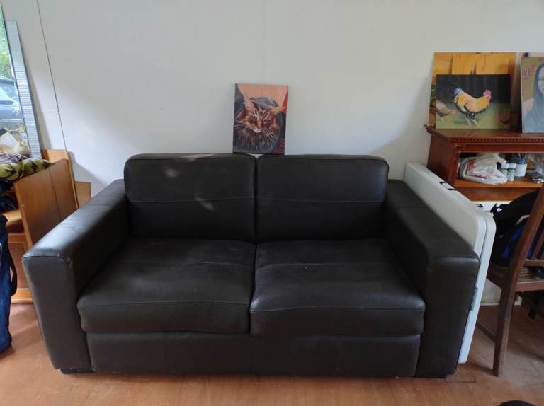 Leather Sofa Bed