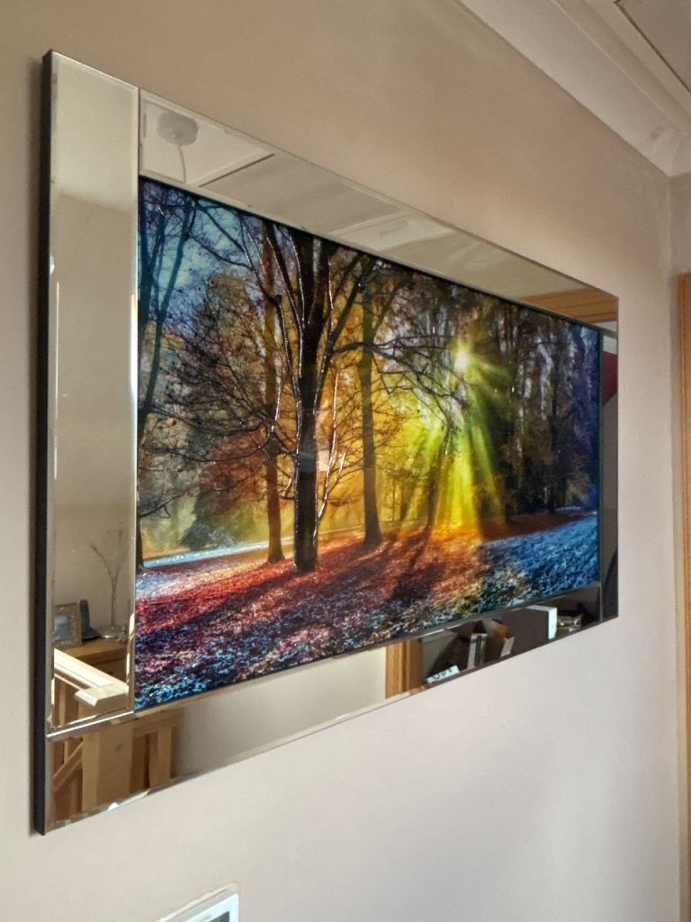 Mirrored edge Forrest scene picture 