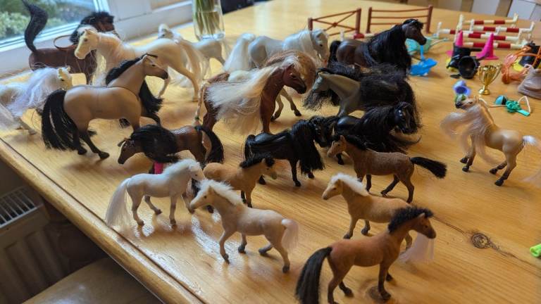 My Beautiful Horses and accessories 