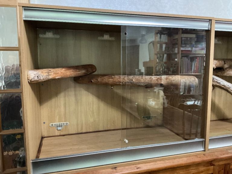 LARGE ARBOREAL VIVARIUM