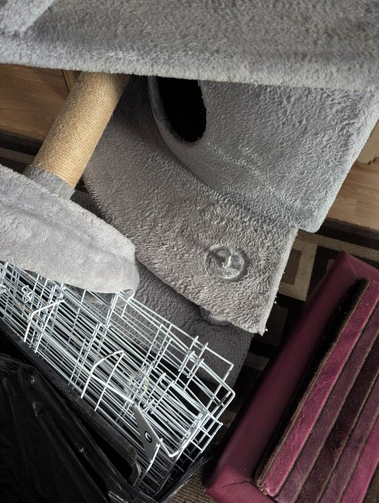 Preloved Cat Accessories 