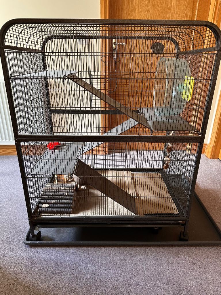 Small animal /hamster cage with wheel, water bottles and toys