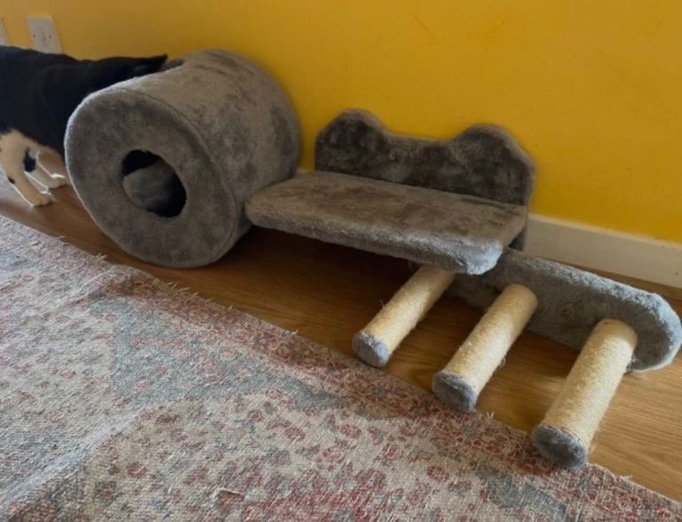 3 cat shelves