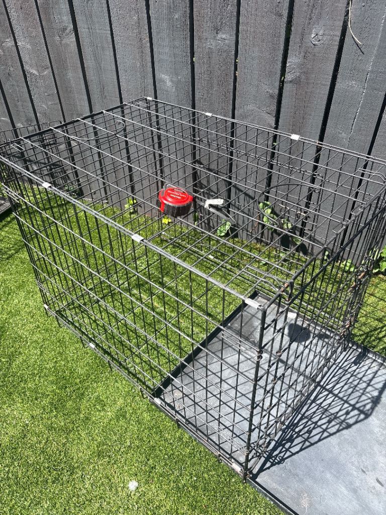 Large size Dog  Cage 
