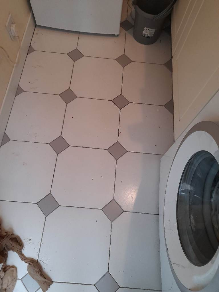 Spanish porcelain tiles with feature light grey inserts.