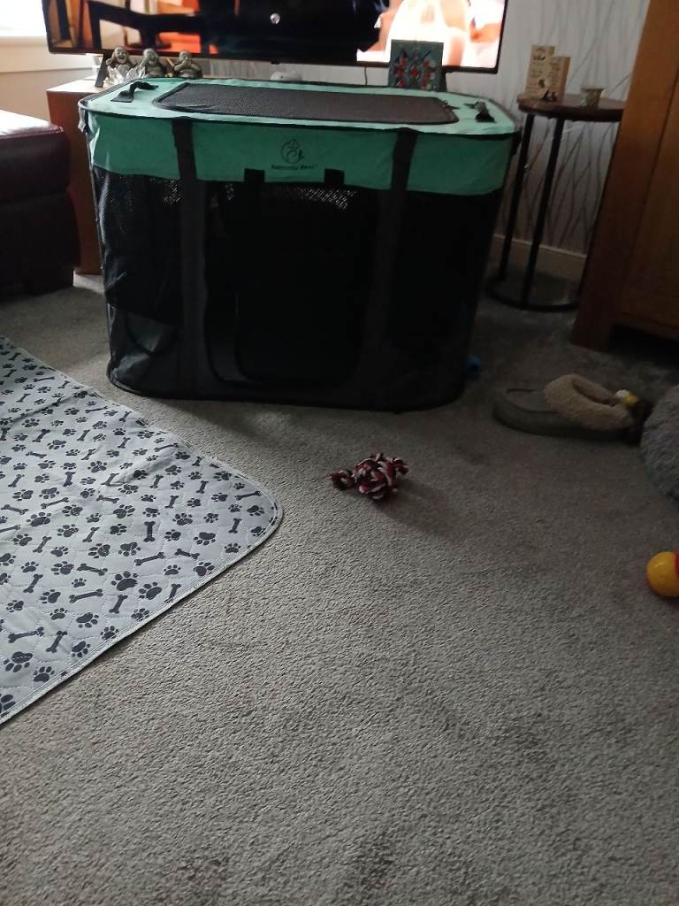 Dog crate and carrier