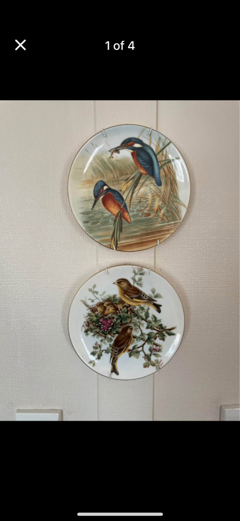 Collectible Coalport Birds of Great Britain Plates