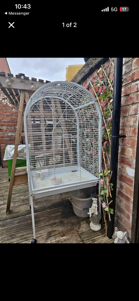 Bird cage / birds+cages / all bird cages