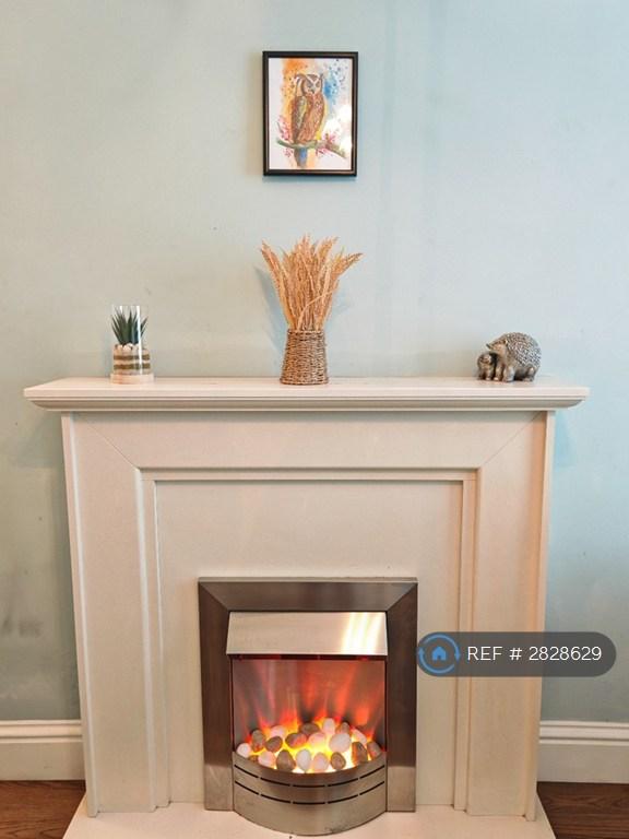 2 bedroom house in Evenwood Road, Durham, DH7 (2 bed) (#2828629)