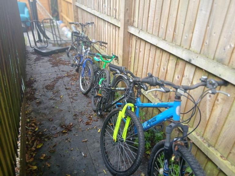 Job lot bikes 
