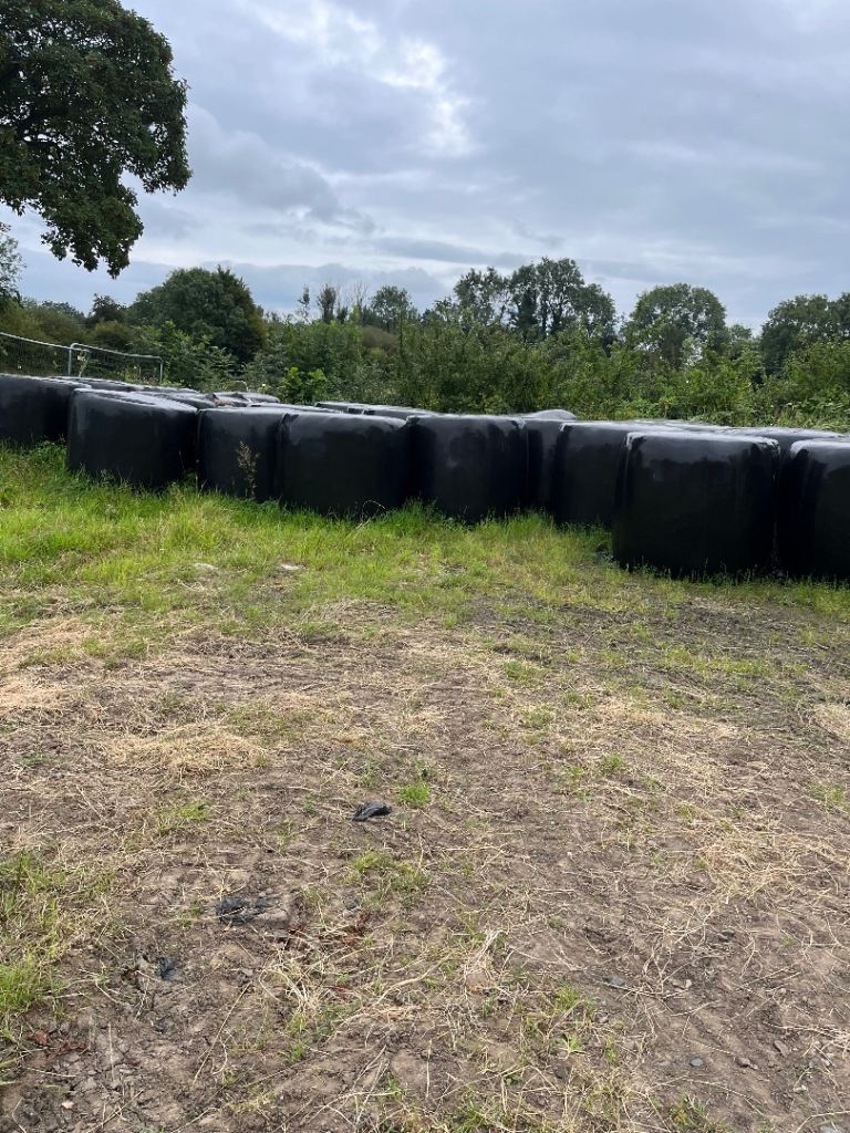 Haylage weed free 