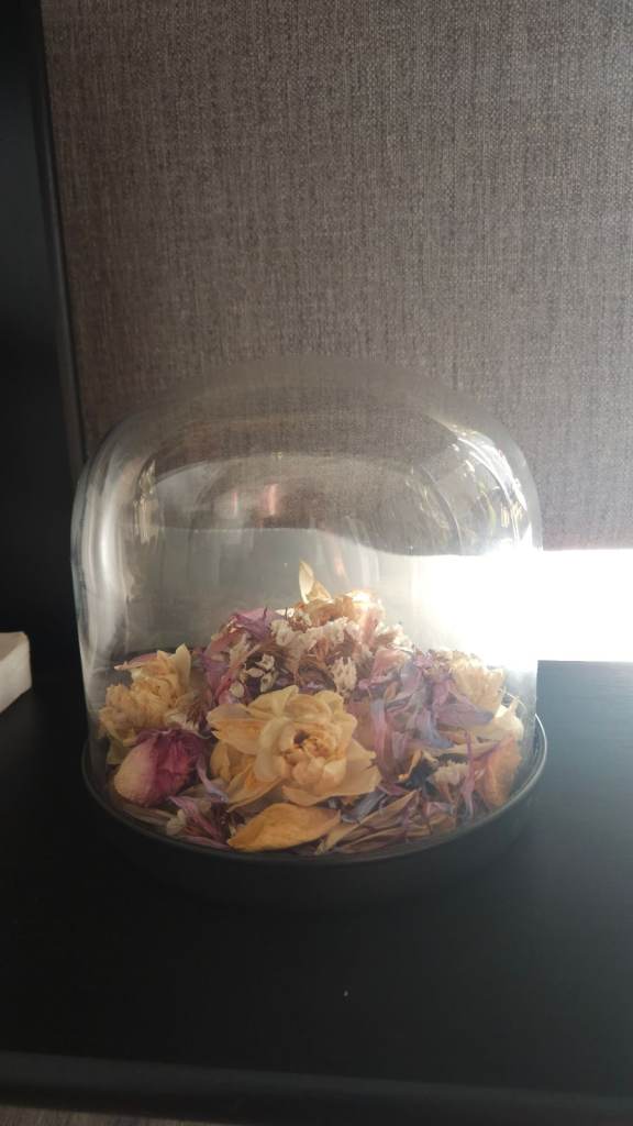 Glass Dome Display Cloche with Black Base / Decorative Display Case