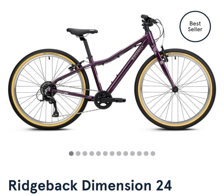 Ridgeback Dimension 24” Purple Bicycle 