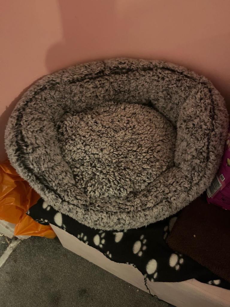 cat bed good as new 