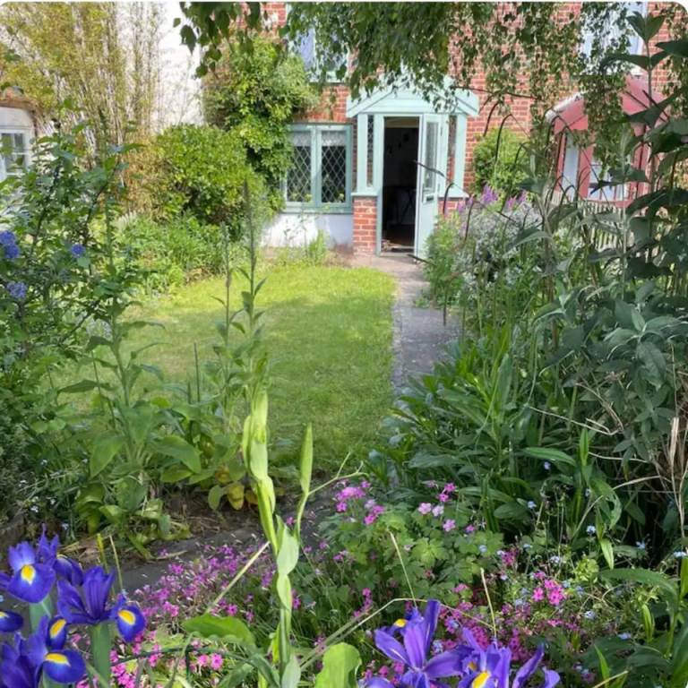 Cosy 18thc Broadlands cottage