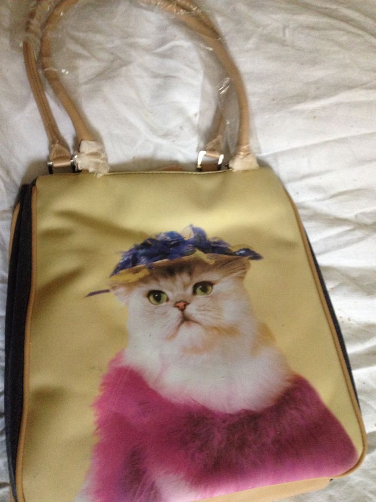 Cat picture bag